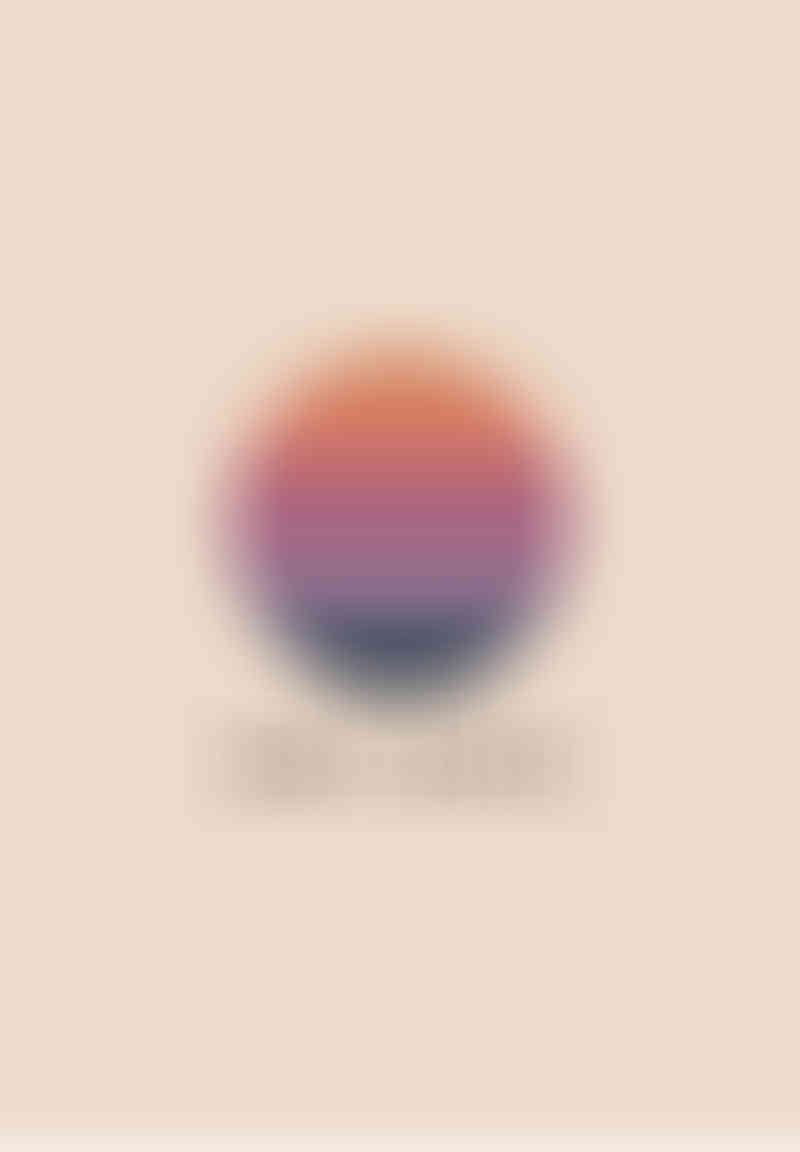IMG 4